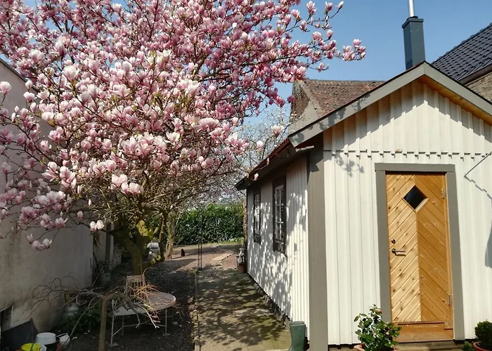 Schwedenliebe